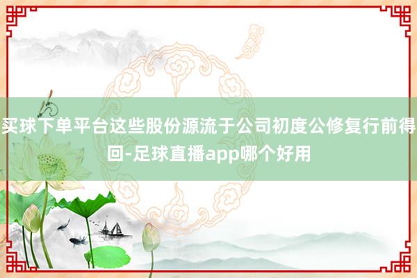 买球下单平台这些股份源流于公司初度公修复行前得回-足球直播app哪个好用