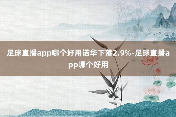 足球直播app哪个好用  诺华下落2.9%-足球直播app哪个好用