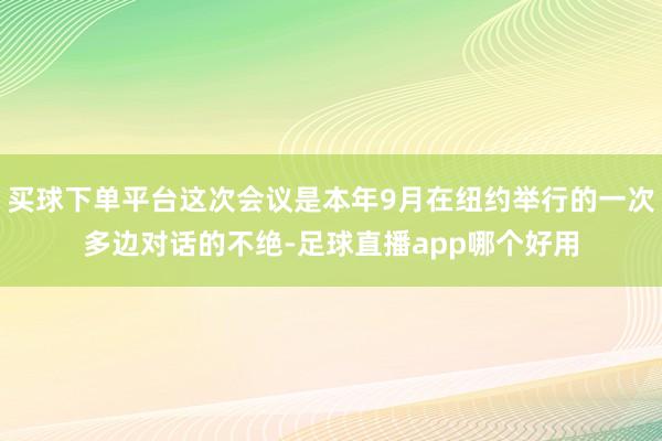 买球下单平台这次会议是本年9月在纽约举行的一次多边对话的不绝-足球直播app哪个好用