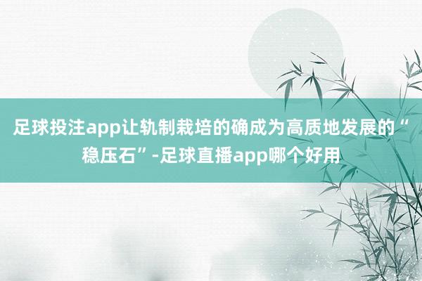 足球投注app让轨制栽培的确成为高质地发展的“稳压石”-足球直播app哪个好用