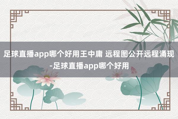 足球直播app哪个好用王中庸 远程图公开远程涌现-足球直播app哪个好用