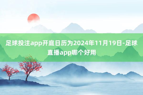 足球投注app开庭日历为2024年11月19日-足球直播app哪个好用
