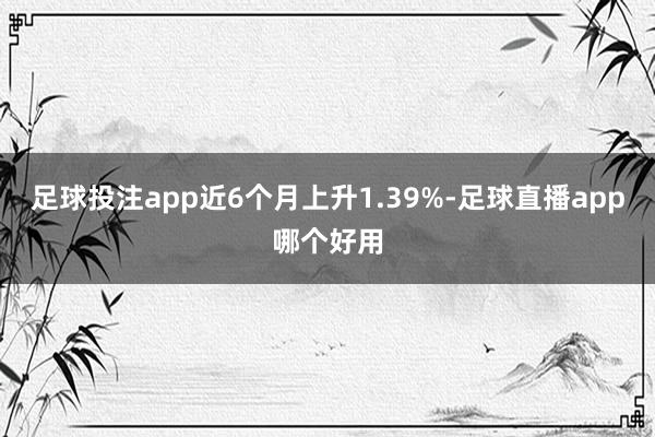 足球投注app近6个月上升1.39%-足球直播app哪个好用