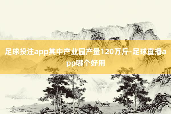 足球投注app其中产业园产量120万斤-足球直播app哪个好用