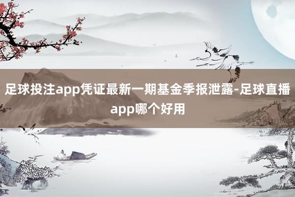 足球投注app凭证最新一期基金季报泄露-足球直播app哪个好用