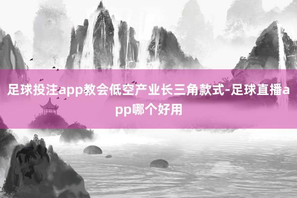 足球投注app教会低空产业长三角款式-足球直播app哪个好用