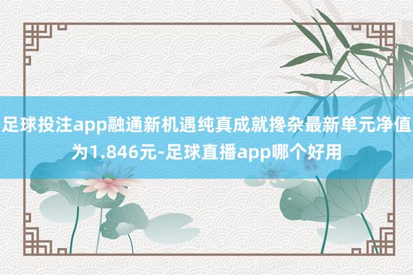 足球投注app融通新机遇纯真成就搀杂最新单元净值为1.846元-足球直播app哪个好用