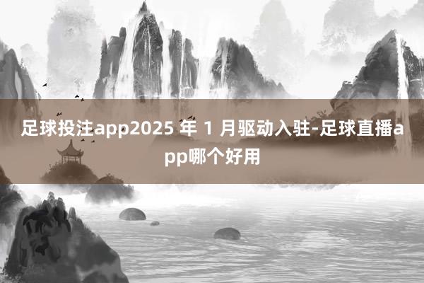 足球投注app2025 年 1 月驱动入驻-足球直播app哪个好用