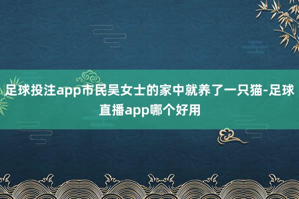 足球投注app市民吴女士的家中就养了一只猫-足球直播app哪个好用