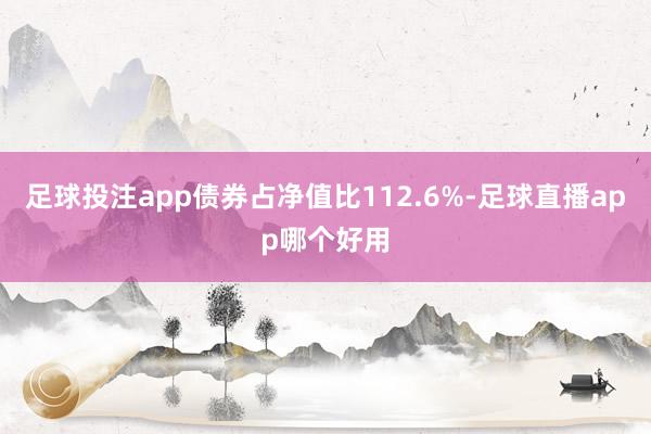 足球投注app债券占净值比112.6%-足球直播app哪个好用