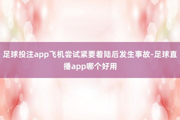 足球投注app飞机尝试紧要着陆后发生事故-足球直播app哪个好用