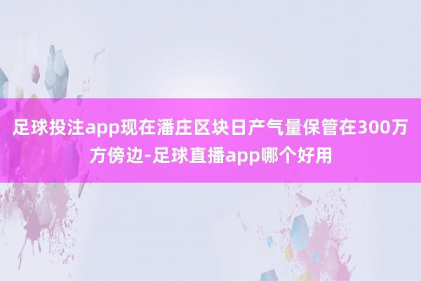 足球投注app现在潘庄区块日产气量保管在300万方傍边-足球直播app哪个好用