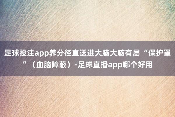 足球投注app养分径直送进大脑大脑有层 “保护罩”（血脑障蔽）-足球直播app哪个好用