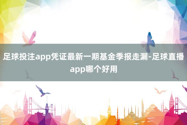 足球投注app凭证最新一期基金季报走漏-足球直播app哪个好用