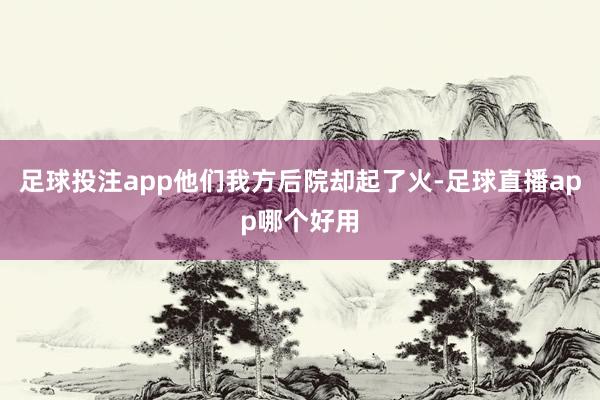 足球投注app他们我方后院却起了火-足球直播app哪个好用