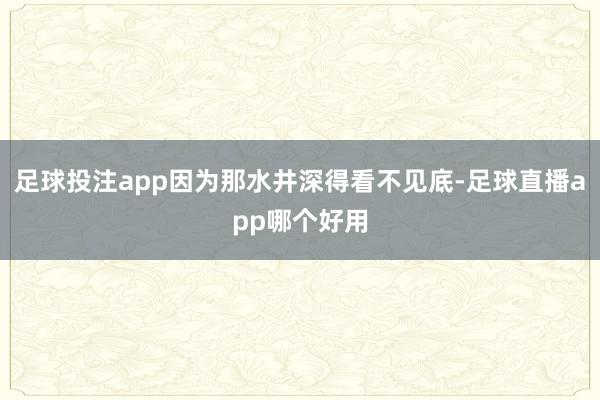 足球投注app因为那水井深得看不见底-足球直播app哪个好用