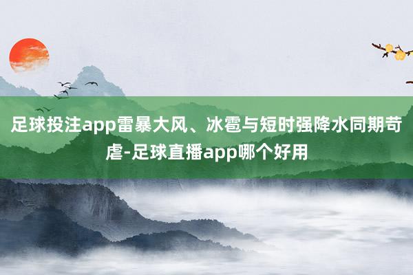 足球投注app雷暴大风、冰雹与短时强降水同期苛虐-足球直播app哪个好用