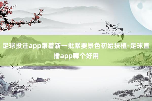 足球投注app跟着新一批紧要景色初始扶植-足球直播app哪个好用
