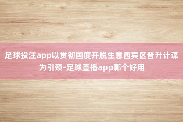 足球投注app以贯彻国度开脱生意西宾区晋升计谋为引颈-足球直播app哪个好用