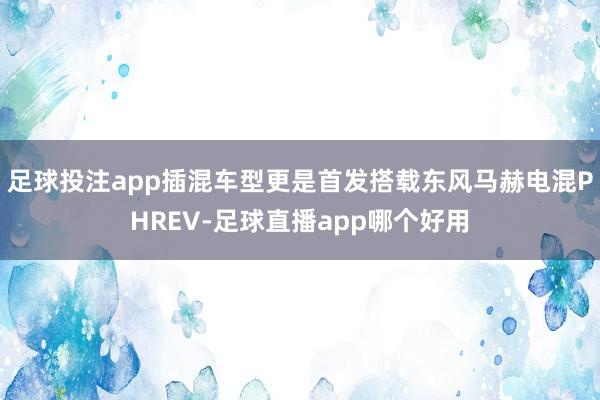 足球投注app插混车型更是首发搭载东风马赫电混PHREV-足球直播app哪个好用