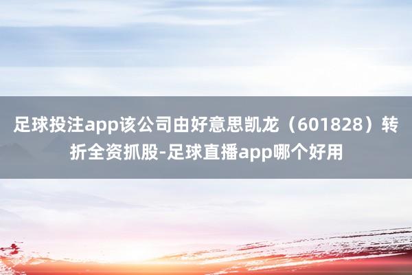 足球投注app该公司由好意思凯龙（601828）转折全资抓股-足球直播app哪个好用