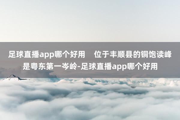 足球直播app哪个好用    位于丰顺县的铜饱读峰是粤东第一岑岭-足球直播app哪个好用