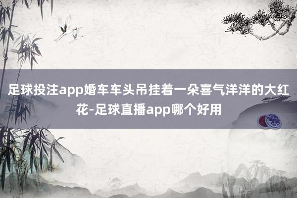 足球投注app婚车车头吊挂着一朵喜气洋洋的大红花-足球直播app哪个好用