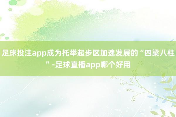 足球投注app成为托举起步区加速发展的“四梁八柱”-足球直播app哪个好用