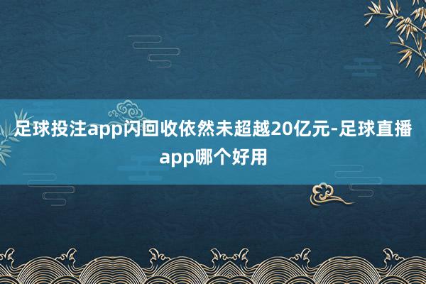 足球投注app闪回收依然未超越20亿元-足球直播app哪个好用