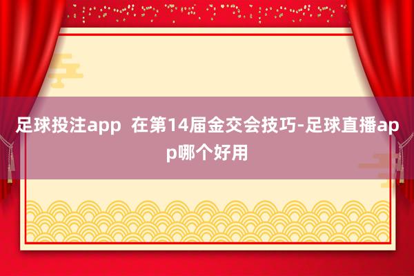足球投注app 在第14届金交会技巧-足球直播app哪个好用