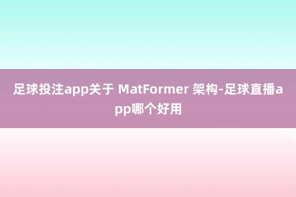 足球投注app关于 MatFormer 架构-足球直播app哪个好用