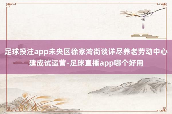 足球投注app未央区徐家湾街谈详尽养老劳动中心建成试运营-足球直播app哪个好用