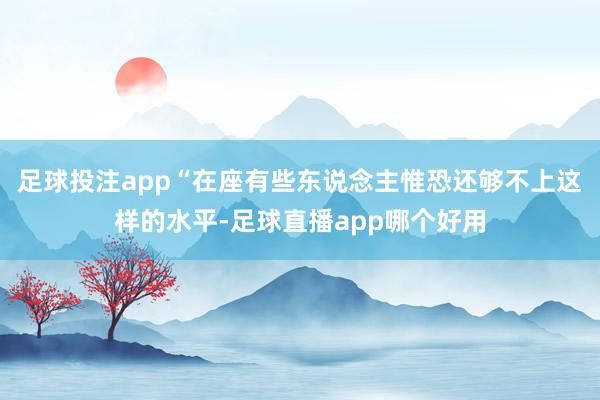足球投注app“在座有些东说念主惟恐还够不上这样的水平-足球直播app哪个好用