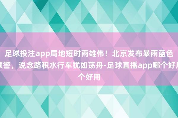 足球投注app局地短时雨雄伟！北京发布暴雨蓝色预警，说念路积水行车犹如荡舟-足球直播app哪个好用