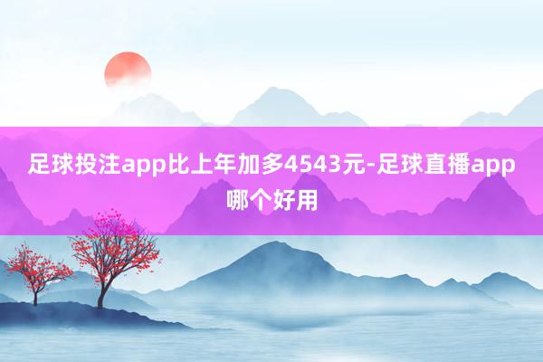 足球投注app比上年加多4543元-足球直播app哪个好用