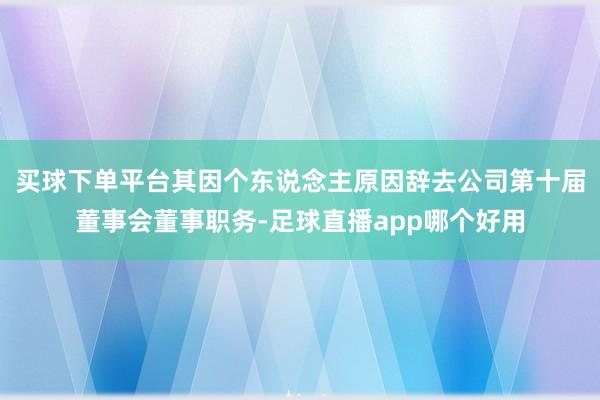 买球下单平台其因个东说念主原因辞去公司第十届董事会董事职务-足球直播app哪个好用
