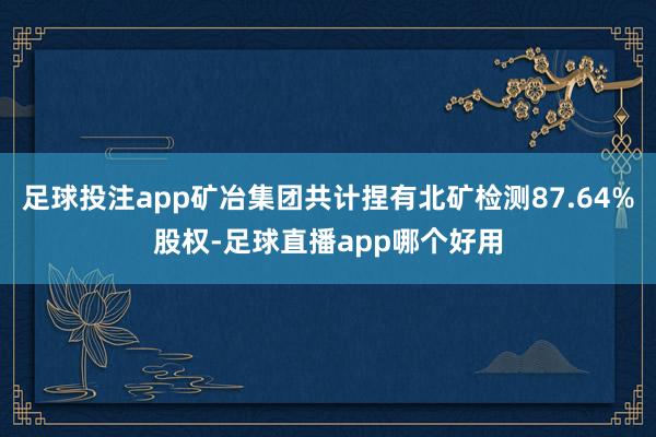 足球投注app矿冶集团共计捏有北矿检测87.64%股权-足球直播app哪个好用