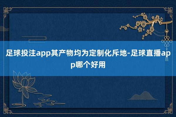 足球投注app其产物均为定制化斥地-足球直播app哪个好用