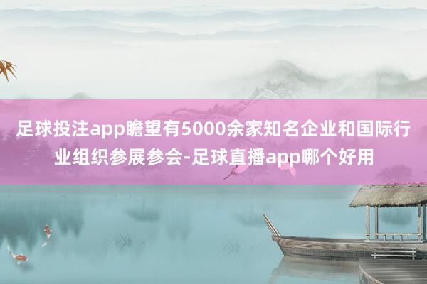 足球投注app瞻望有5000余家知名企业和国际行业组织参展参会-足球直播app哪个好用