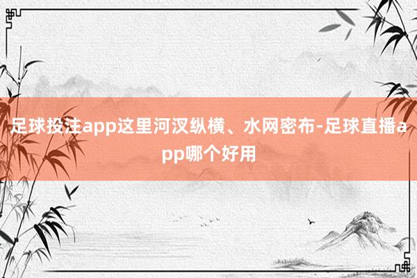 足球投注app这里河汊纵横、水网密布-足球直播app哪个好用