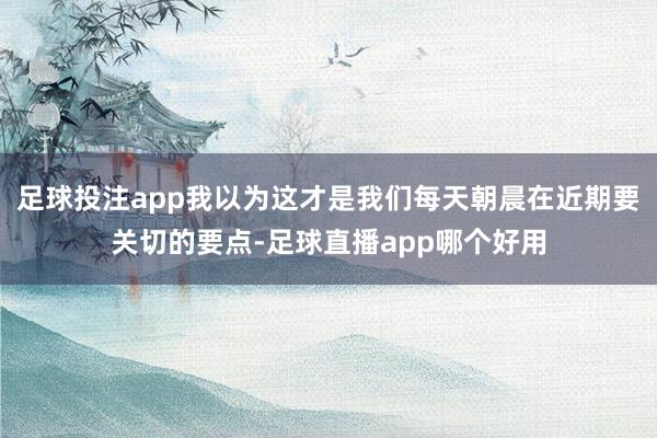 足球投注app我以为这才是我们每天朝晨在近期要关切的要点-足球直播app哪个好用
