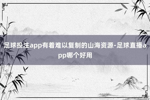 足球投注app有着难以复制的山海资源-足球直播app哪个好用