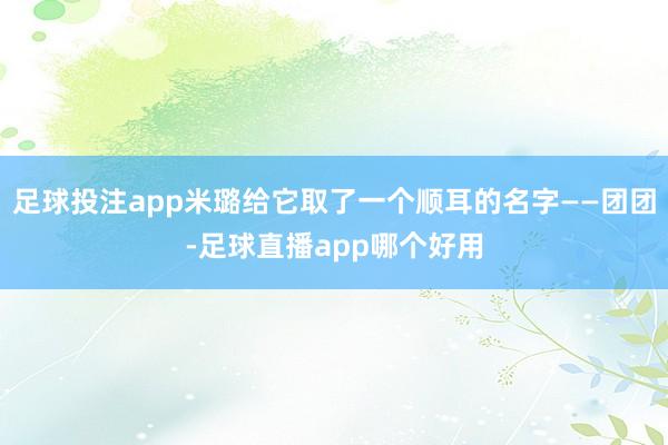 足球投注app米璐给它取了一个顺耳的名字——团团-足球直播app哪个好用