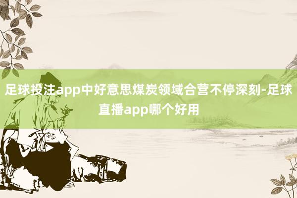 足球投注app中好意思煤炭领域合营不停深刻-足球直播app哪个好用