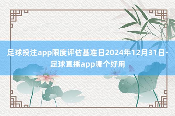 足球投注app限度评估基准日2024年12月31日-足球直播app哪个好用