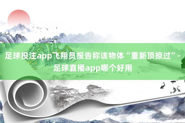 足球投注app飞翔员报告称该物体“重新顶掠过”-足球直播app哪个好用